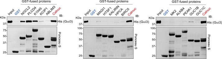 Figure 3.