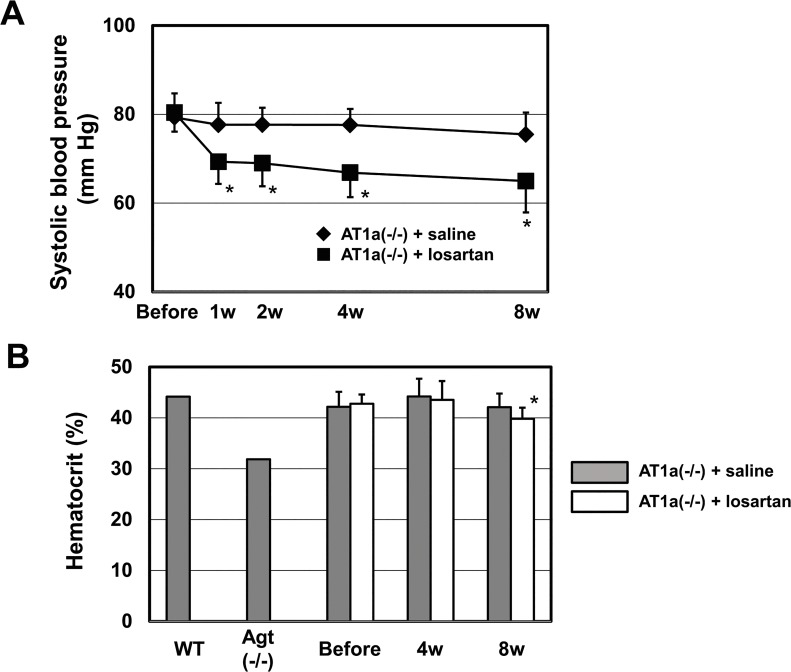 Fig 5