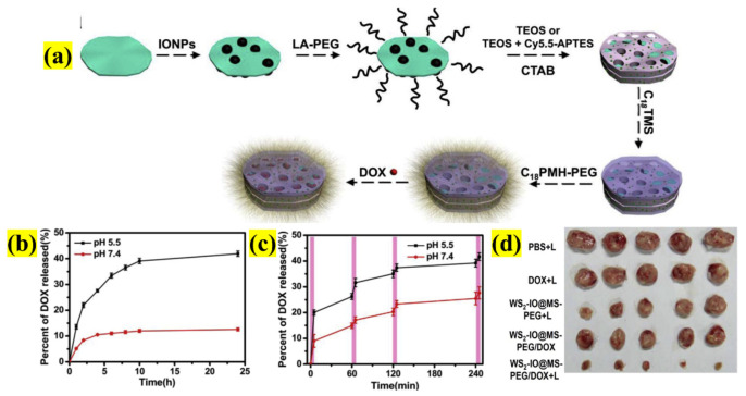 Figure 10