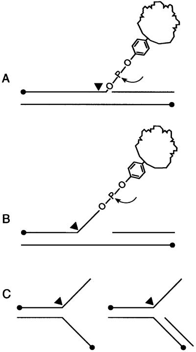 Fig 2.