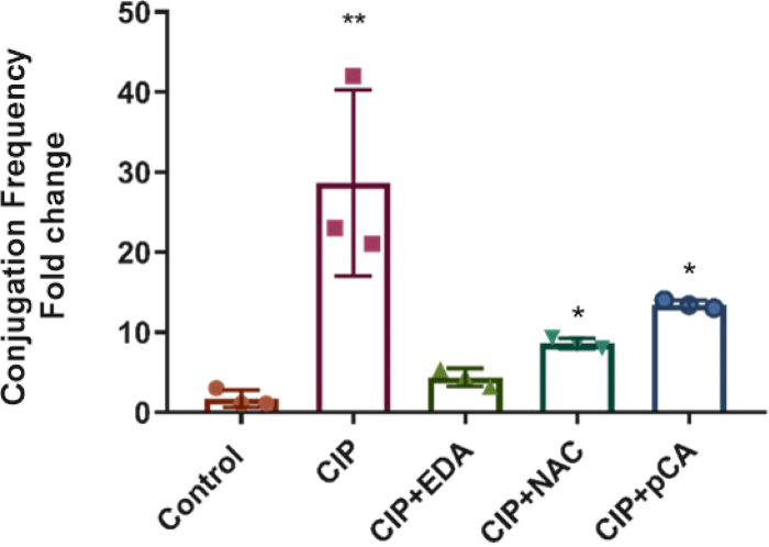 FIG 3