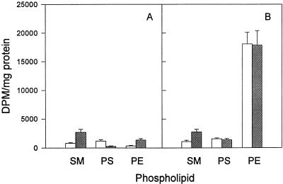 FIG. 6