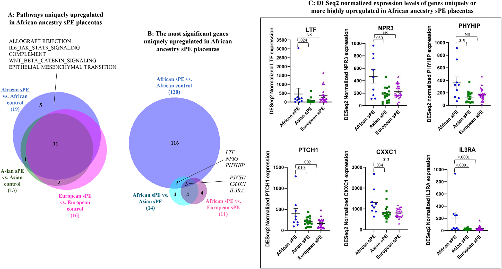 Figure 2: