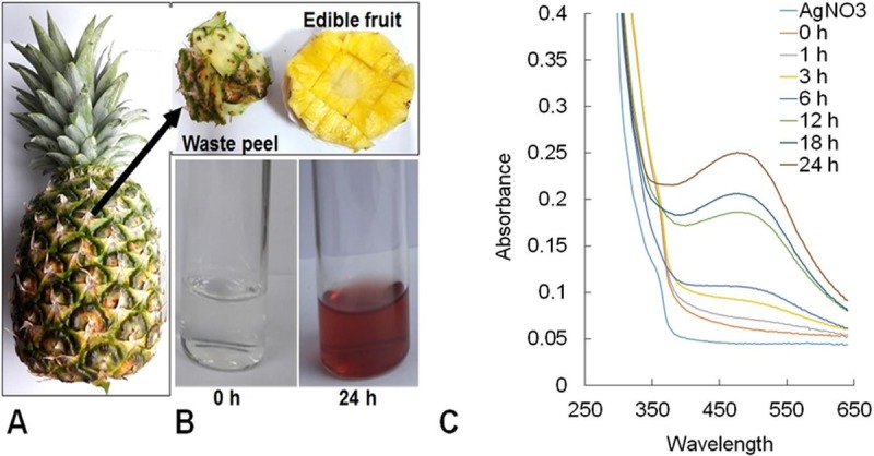 Fig 1