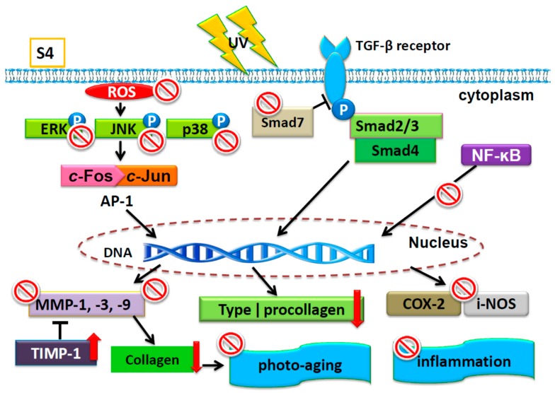 Figure 16