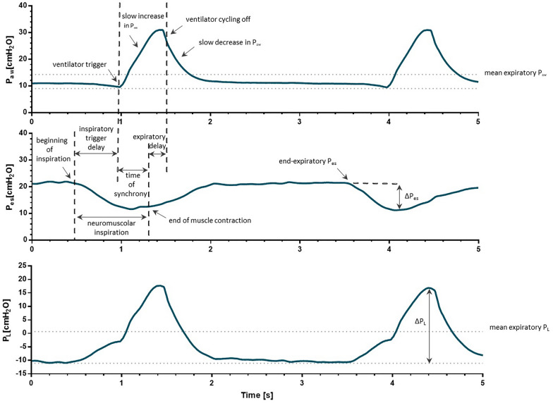 Fig. 3