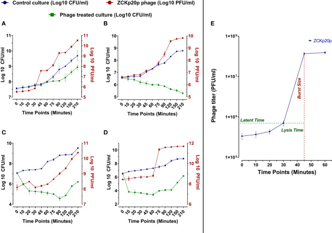 Figure 4