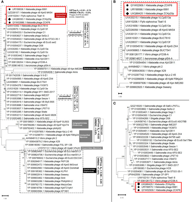 Figure 12