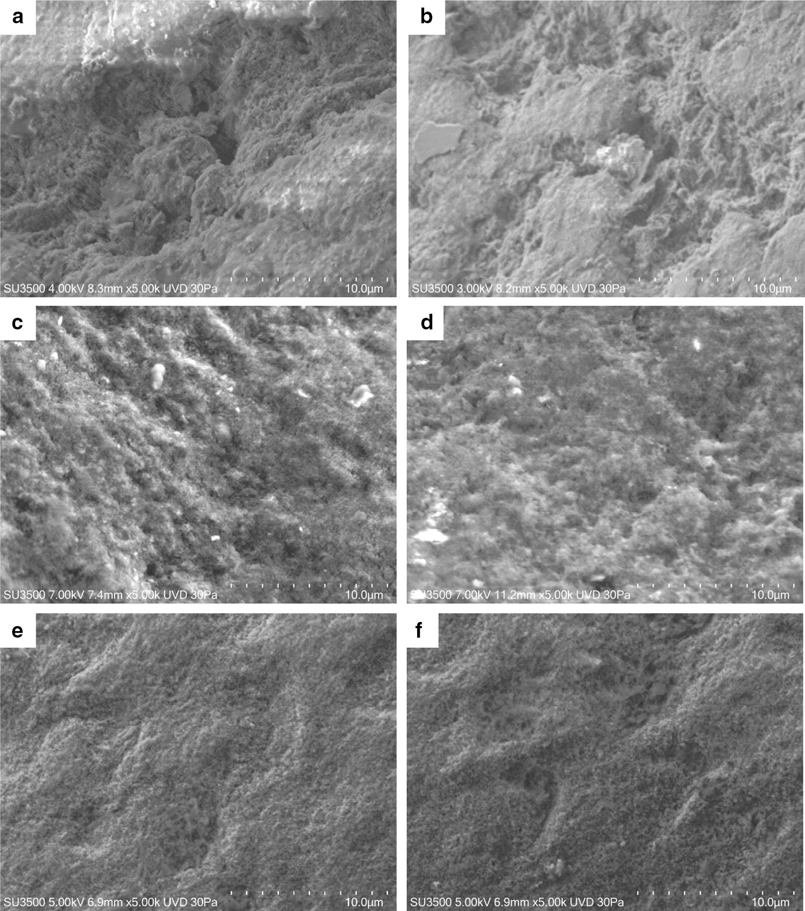 Fig. 6
