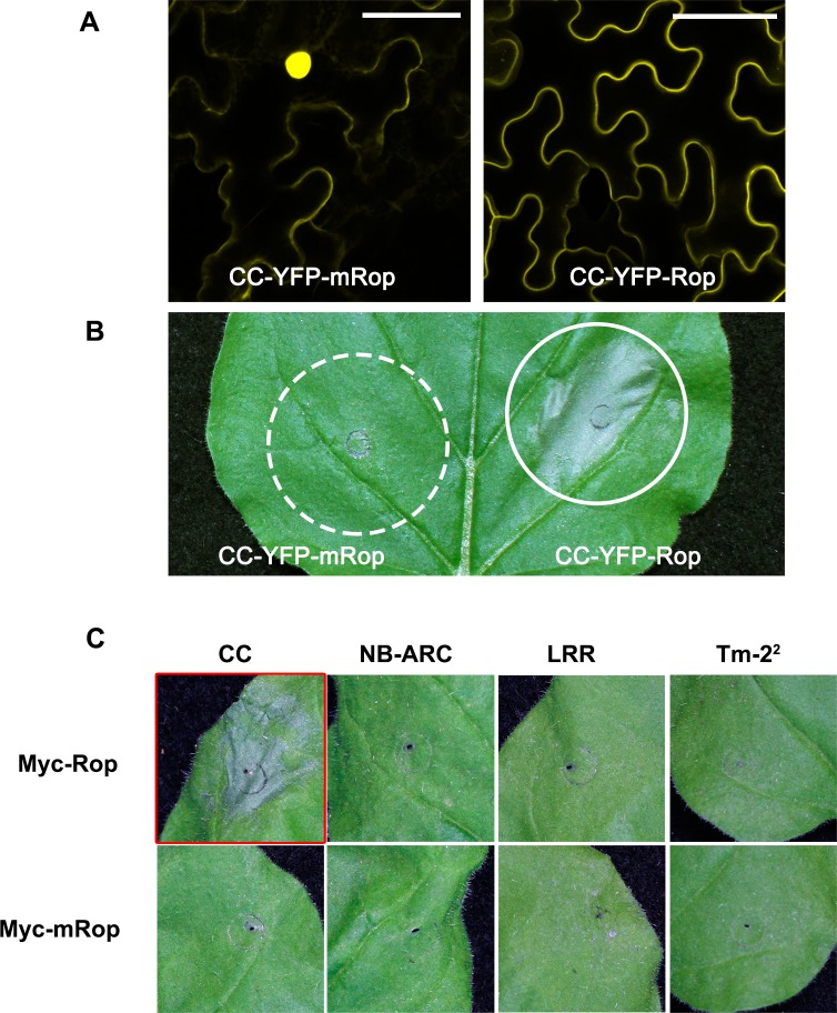 Fig 3