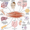 Graphical Abstract