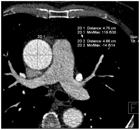 Fig. 5