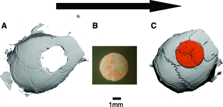 FIG. 1.