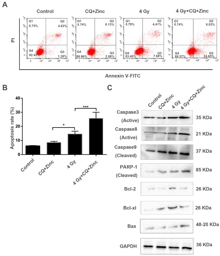 Fig 6