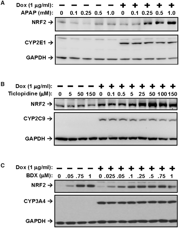 Figure 7.