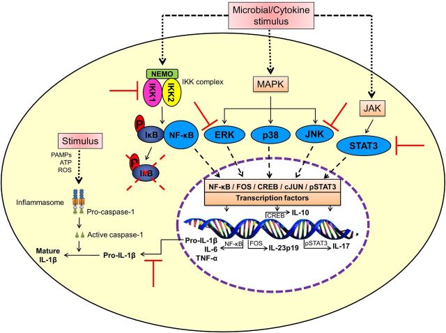 Figure 2.