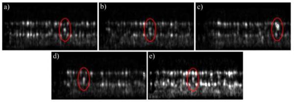 Fig. 9