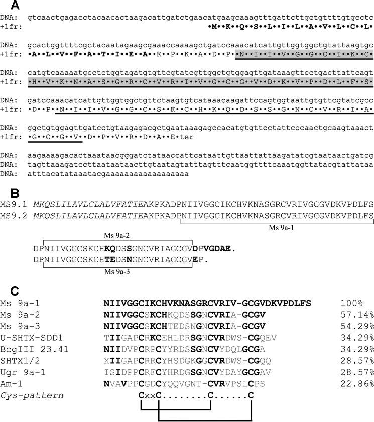 FIGURE 2.