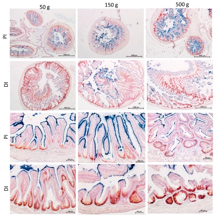 Figure 14