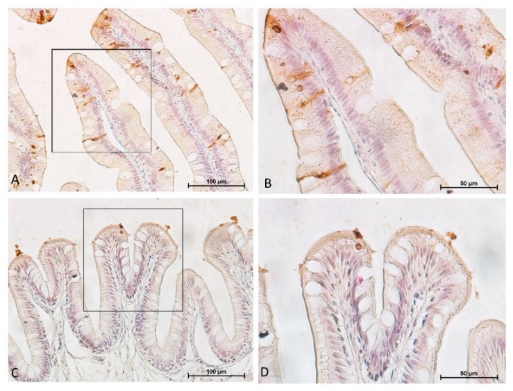 Figure 17