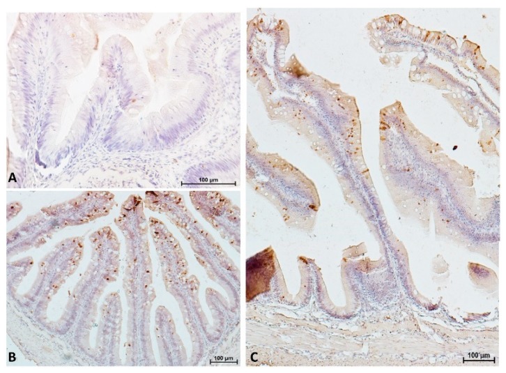 Figure 16