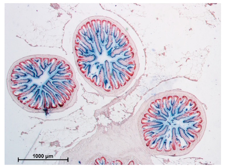 Figure 15