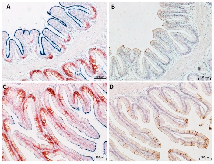 Figure 19