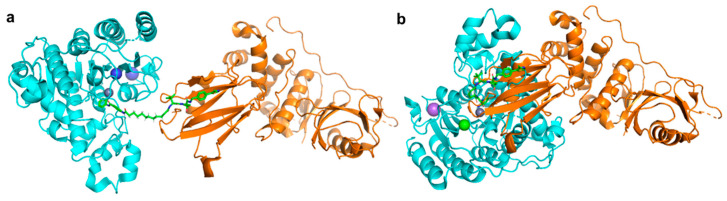 Figure 11