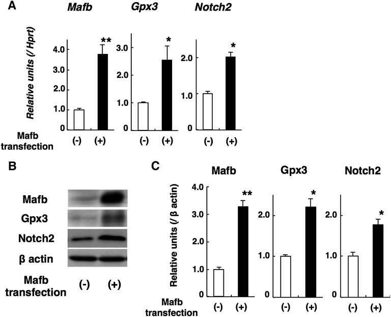 Figure 7.