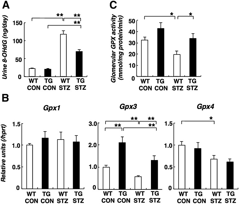 Figure 5.