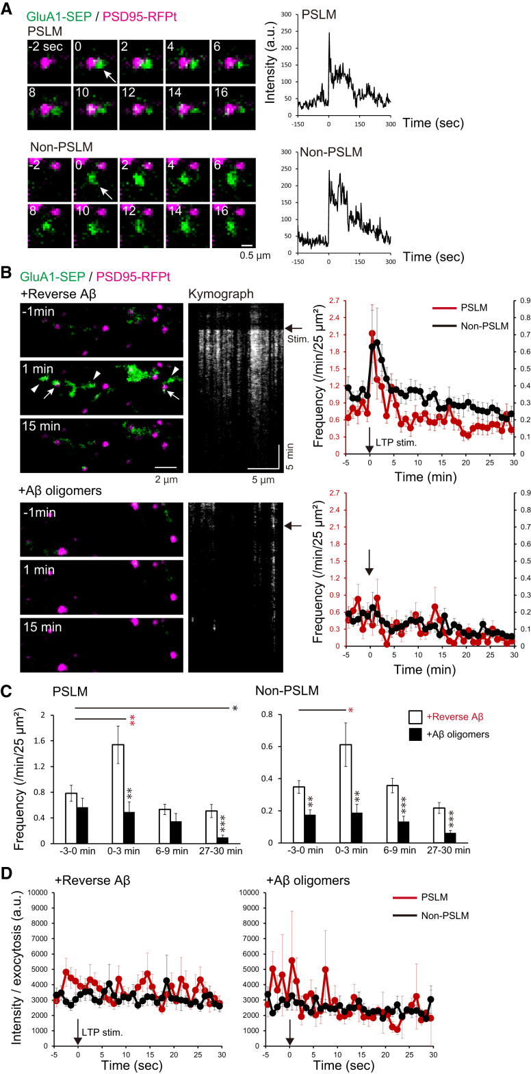 Fig. 4