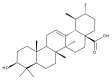 Figure 22