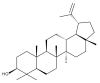 Figure 24