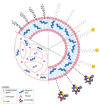 Figure 19