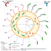 Figure 21