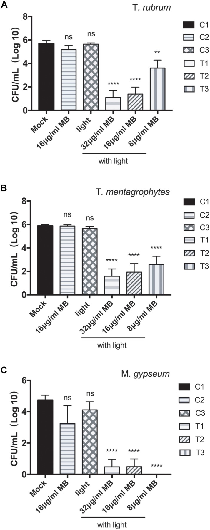 FIGURE 2