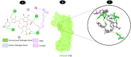 Fig 11