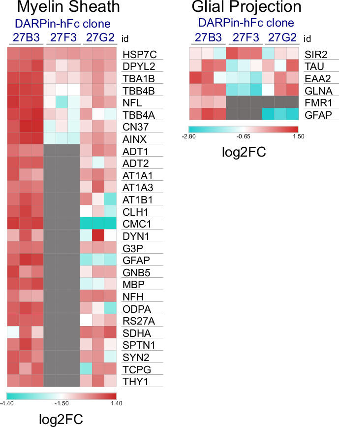 Figure 6—figure supplement 3.