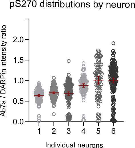 Figure 3—figure supplement 4.