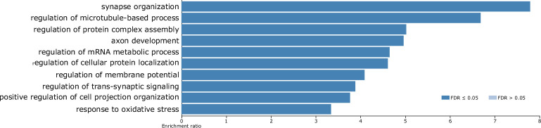 Figure 5—figure supplement 4.