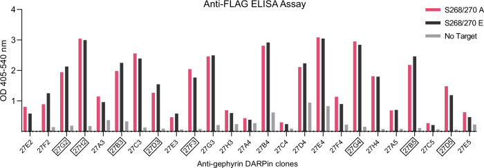 Figure 1—figure supplement 1.