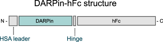 Figure 3—figure supplement 1.