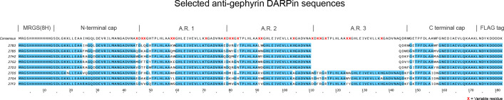 Figure 1—figure supplement 2.