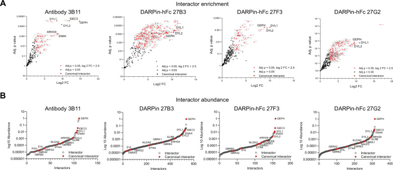 Figure 5—figure supplement 2.