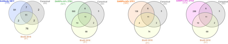 Figure 5—figure supplement 3.