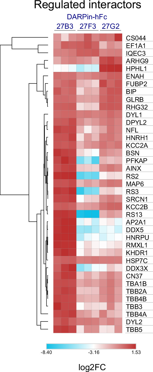 Figure 6—figure supplement 1.