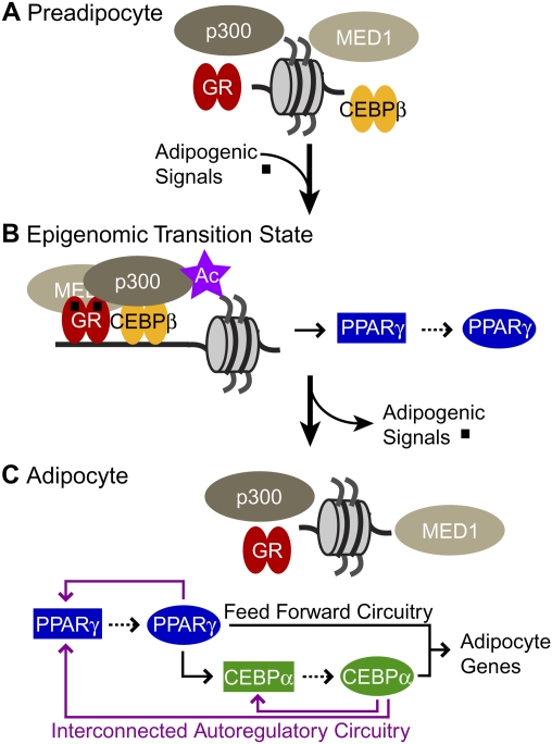 Figure 6.