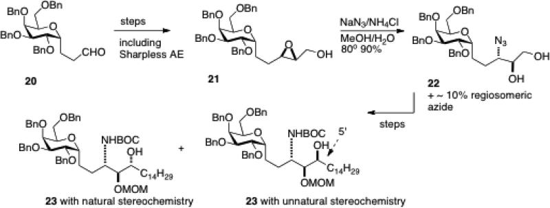 Scheme 4