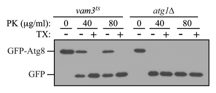 Figure 2.