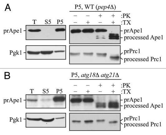 Figure 1.